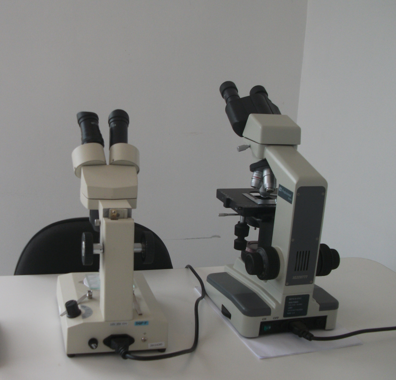 Secretaria de Saúde implanta laboratório de entomologia 